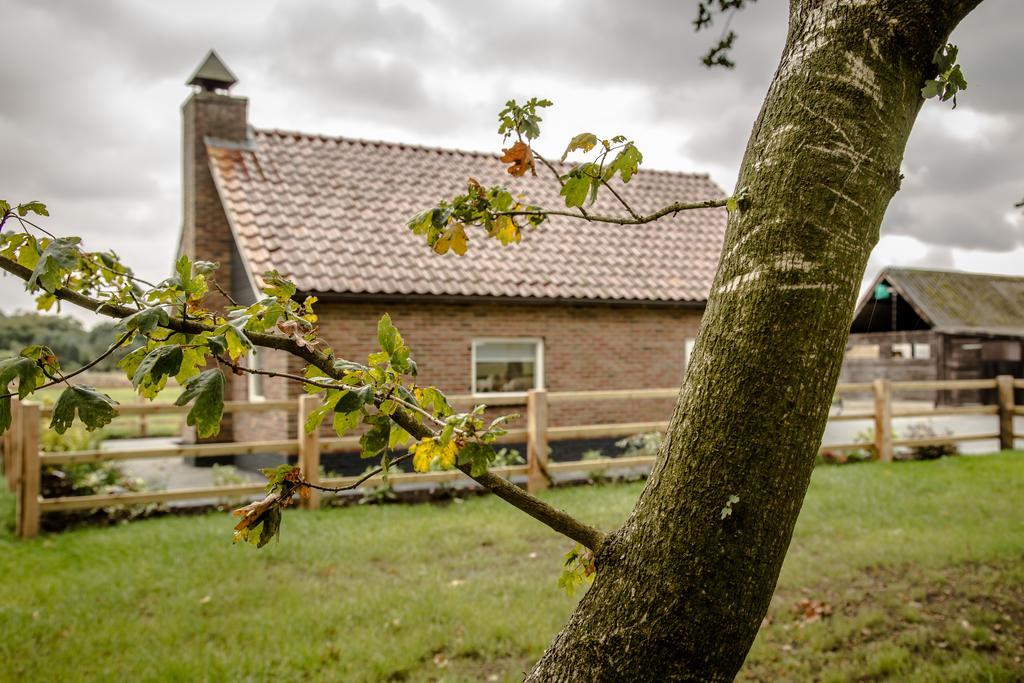 Het Kleine Landgoed Villa Haarle Ngoại thất bức ảnh