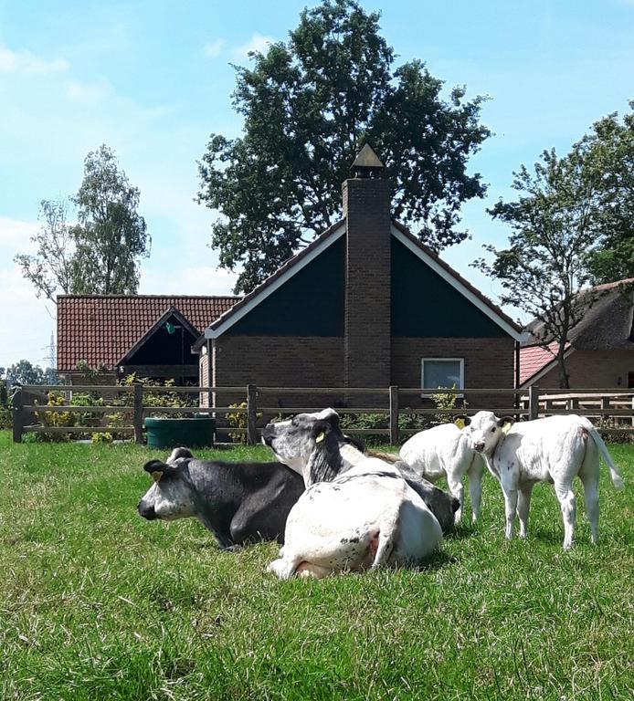 Het Kleine Landgoed Villa Haarle Ngoại thất bức ảnh